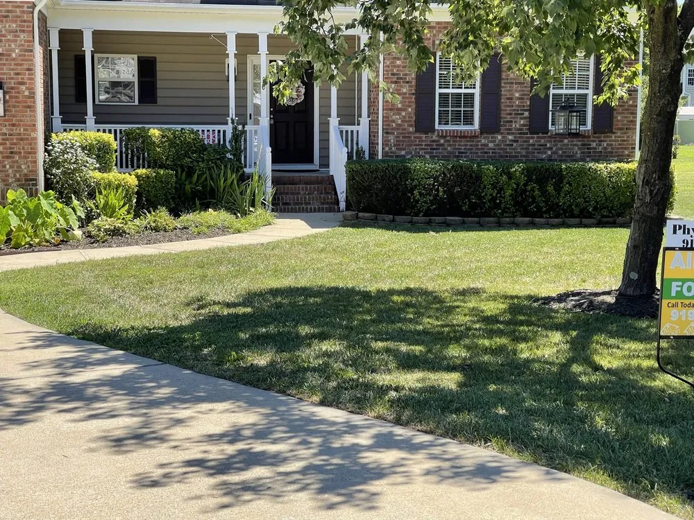 Professional yard cleanup service in Garner, NC by 7 Tree Landscaping