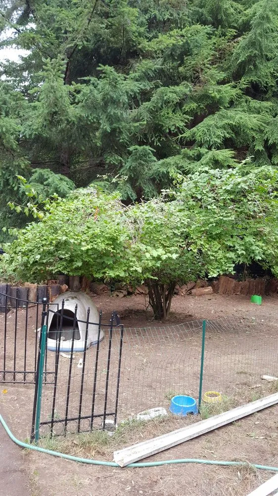 Reliable lawn care service for outdoor upgrades across Bremerton, WA - 7 Wonders Landscaping & Maintenance