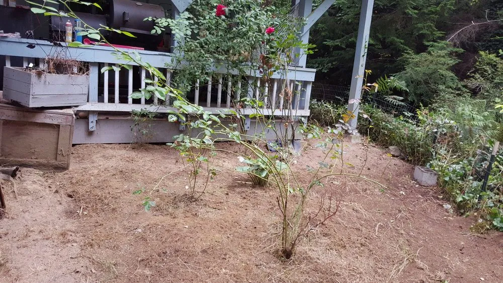 Local residential landscaping experts serving Bremerton, WA - 7 Wonders Landscaping & Maintenance