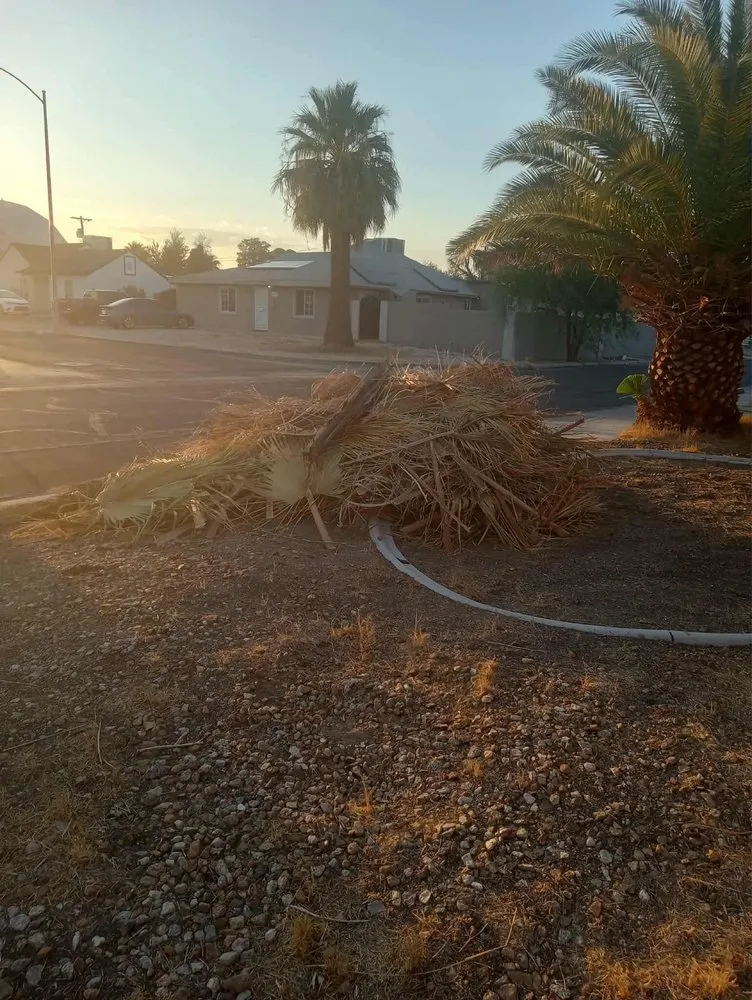 Trusted landscape installation in Las Vegas, NV by 702 Junk Solutions