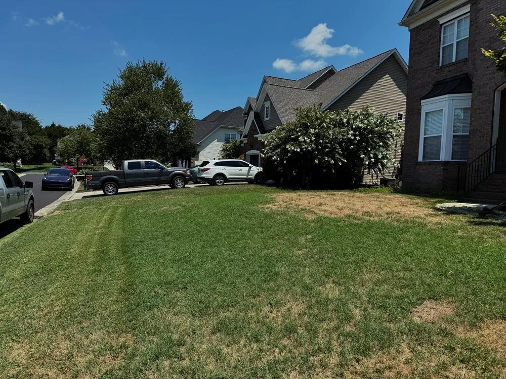 Top-rated outdoor landscaping experts serving Monroe, NC - 704 Homescapes