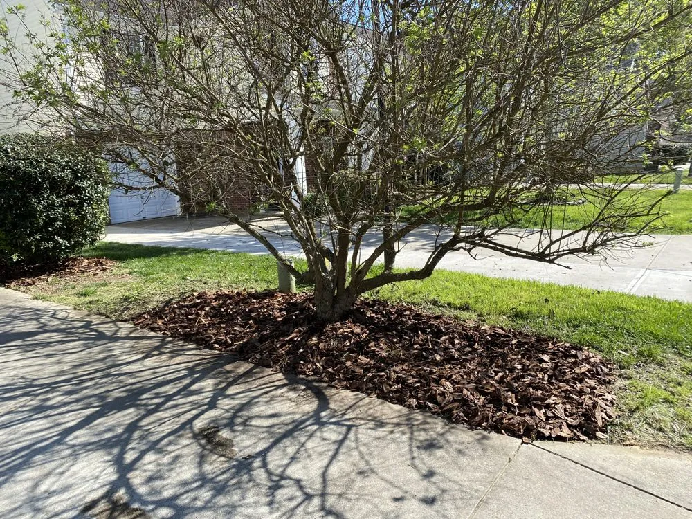 Local yard maintenance in Monroe, NC - 704 Homescapes