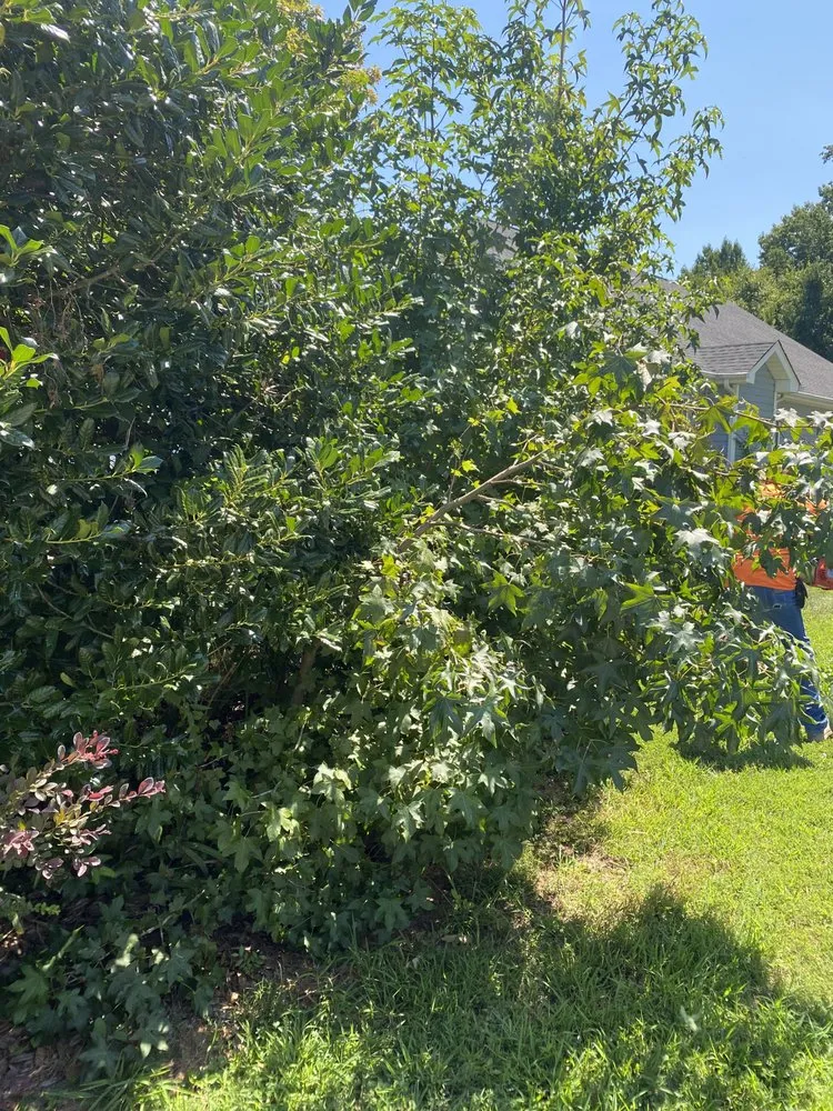 Top-rated landscape design for residential properties across Monroe, NC - 704 Homescapes