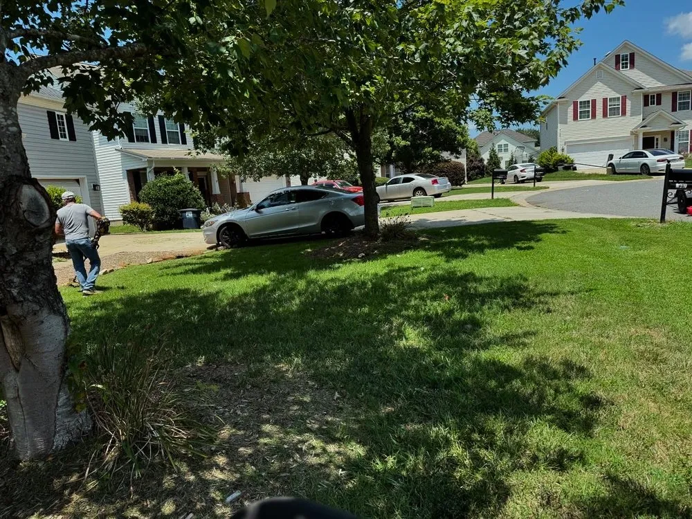 Expert yard cleanup service in Monroe, NC by 704 Homescapes