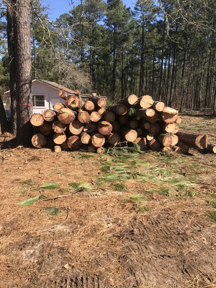 Top-rated yard maintenance near you across Augusta, GA - 706 Tree and Stump