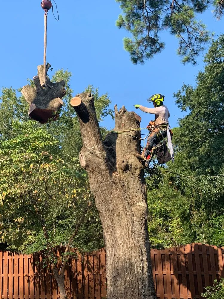 Custom landscaping services experts serving Augusta, GA - 706 Tree and Stump