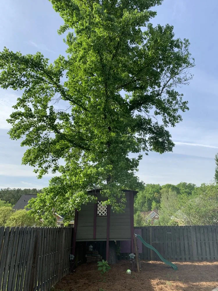 Trusted landscape installation for outdoor upgrades in Augusta, GA by 706 Tree and Stump