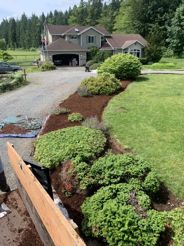 Professional lawn mowing service in Arlington, WA - 713 Landscape