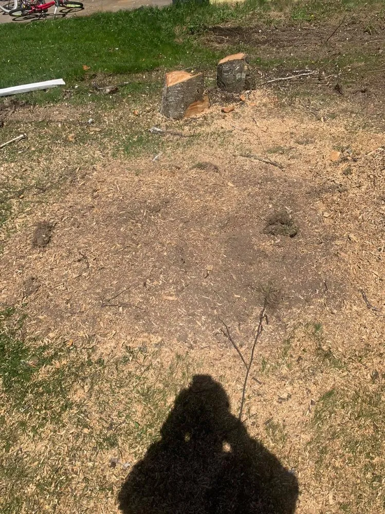 Top-rated yard cleanup service in Thorp, WI by 715 Lawn Care