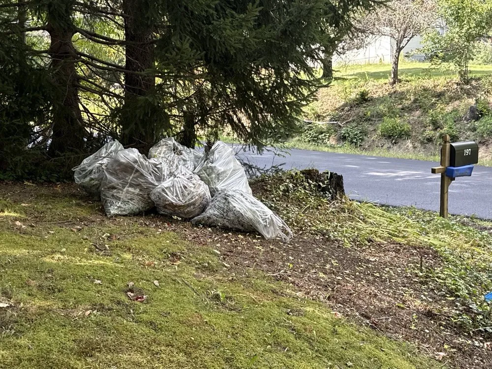 Professional yard maintenance in Niagara Falls, NY - 716 All Fix