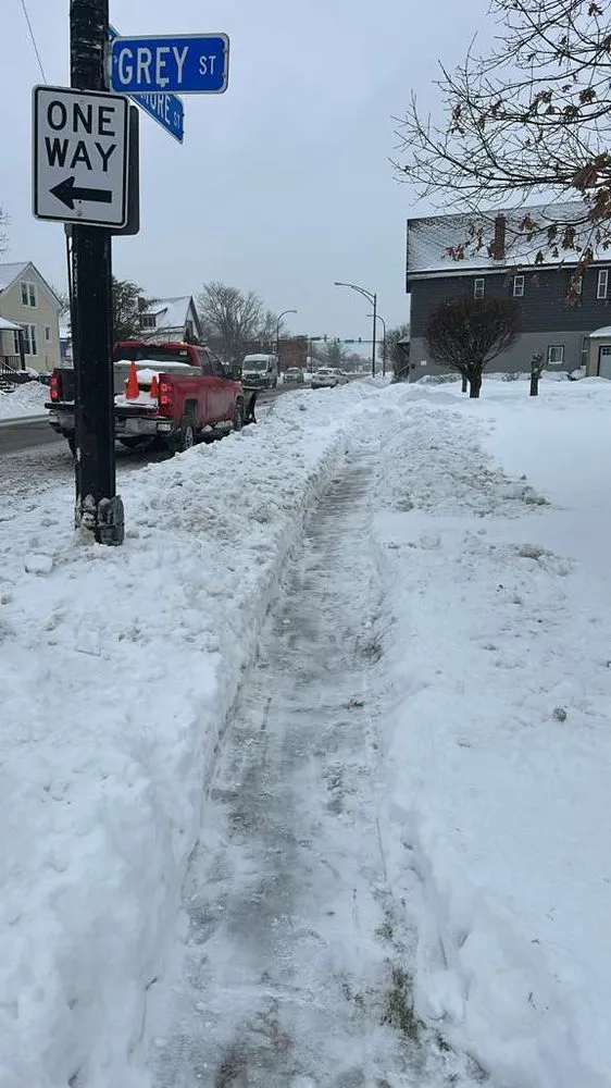 Trusted lawn care service in Buffalo, NY by 716 Lawn Care