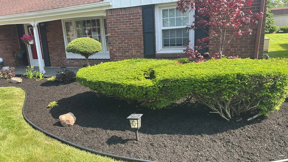 Affordable landscape design experts serving Buffalo, NY - 716 Lawn Care