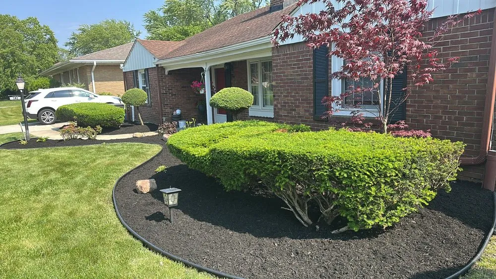 Professional yard cleanup service in Buffalo, NY - 716 Lawn Care
