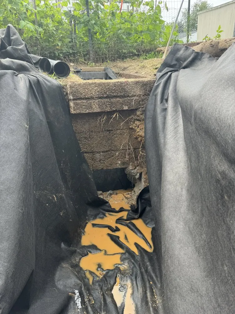 Affordable landscaping services for residential properties across East York, PA - 717 Property Solution