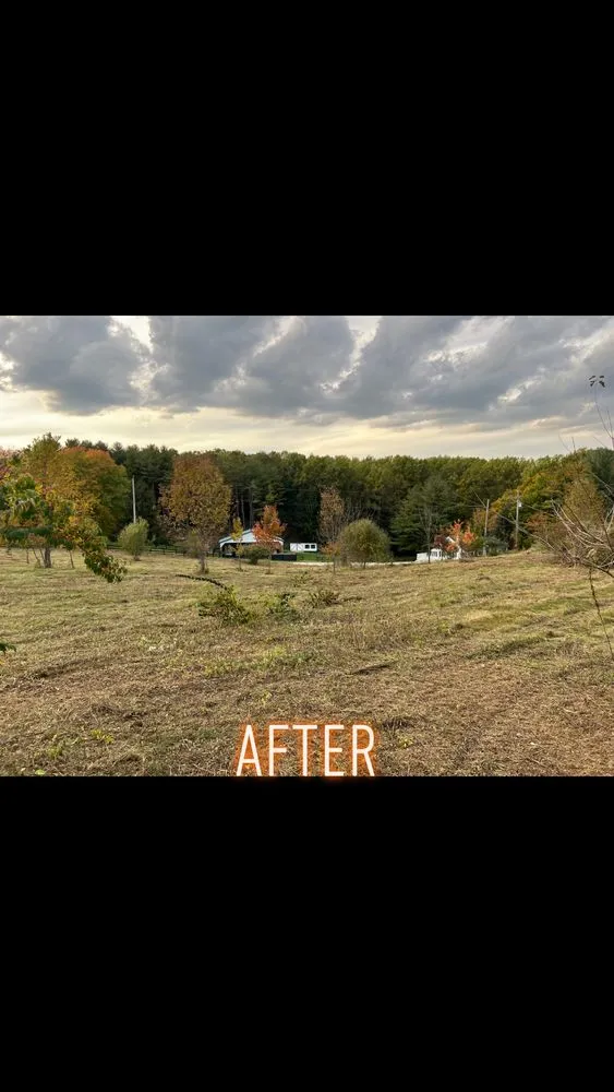 Expert landscape design for homes in East York, PA by 717 Property Solution