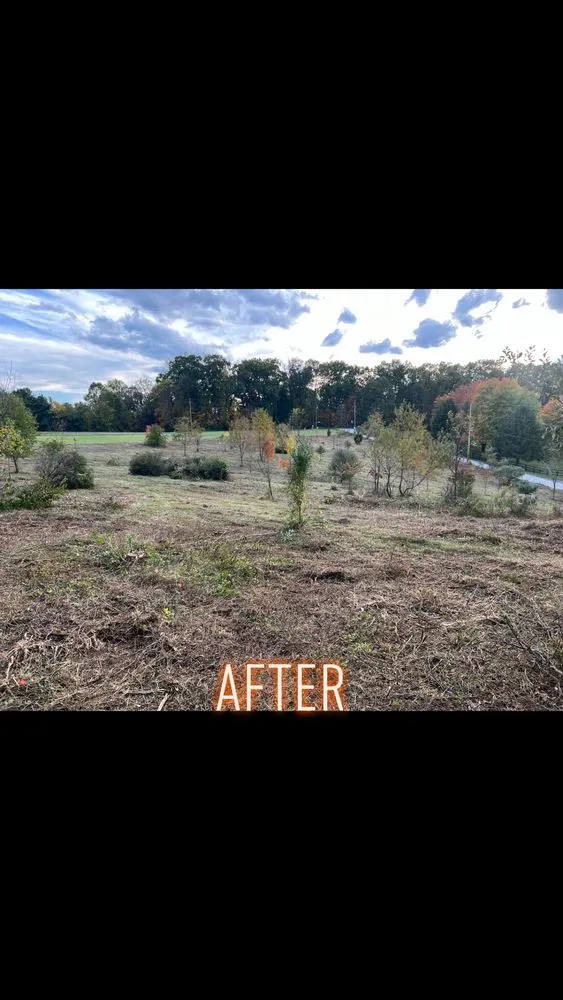 Professional landscaping services in East York, PA - 717 Property Solution