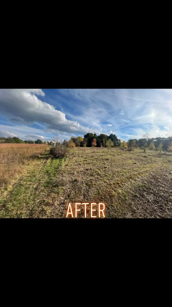 Custom outdoor landscaping in East York, PA - 717 Property Solution