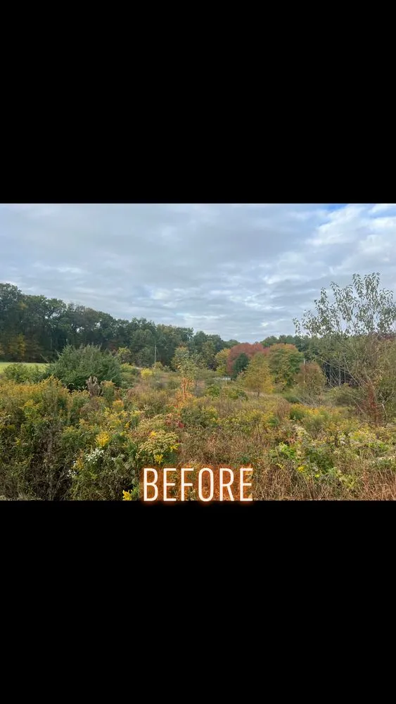 Reliable yard maintenance for homes in East York, PA by 717 Property Solution