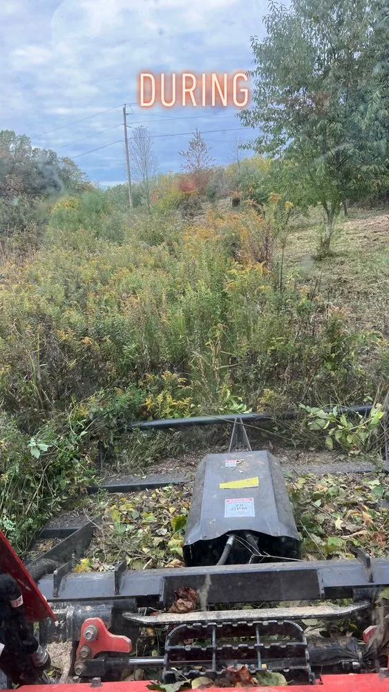 Reliable lawn mowing service in East York, PA by 717 Property Solution