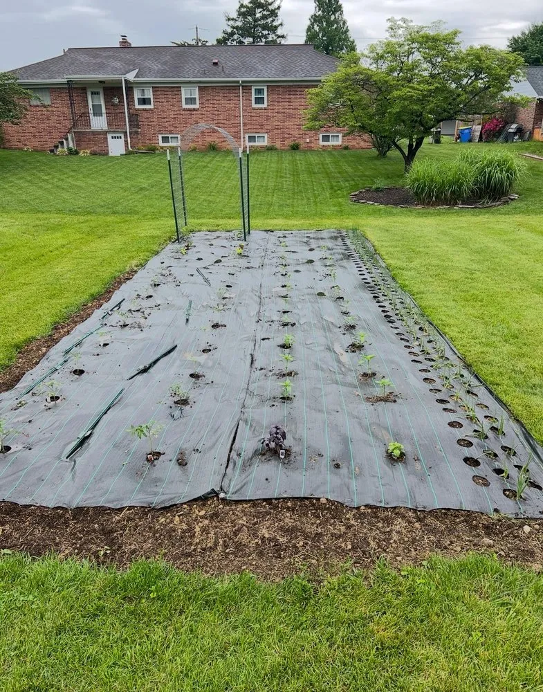 Affordable landscape design in East York, PA by 717 Property Solution