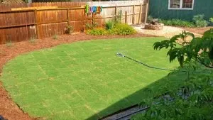 Expert yard cleanup service experts serving Dunwoody, GA - 718Landscape