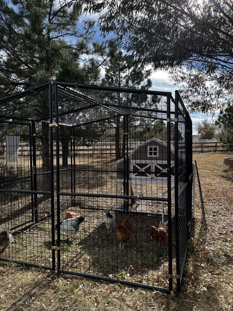 Top-rated garden landscaping for beautiful yards across Colorado Springs, CO - 719 Handyman & Landscaping