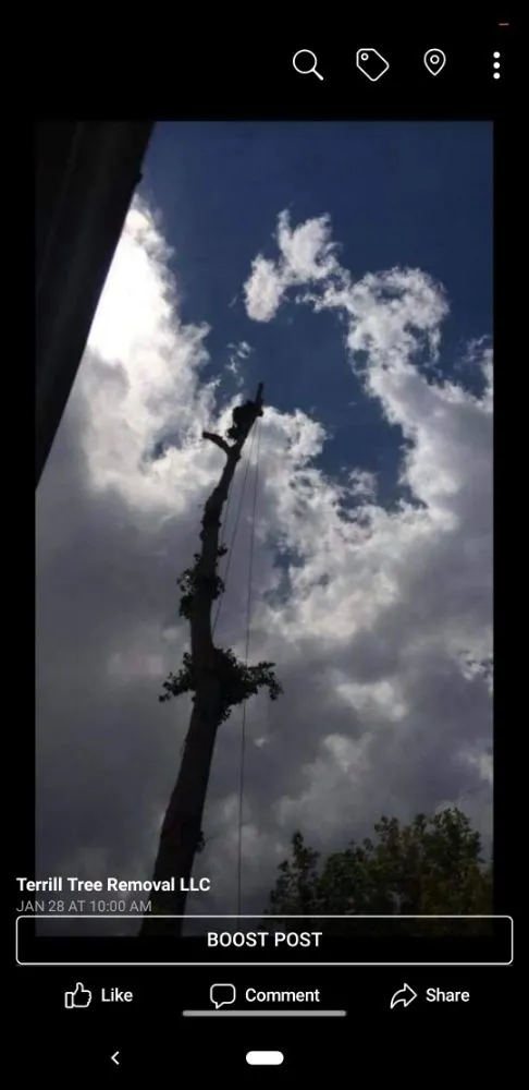 Trusted landscape design in Colorado Springs, CO by 719 Handyman & Landscaping