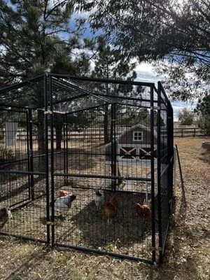 719 Handyman & Landscaping Logo