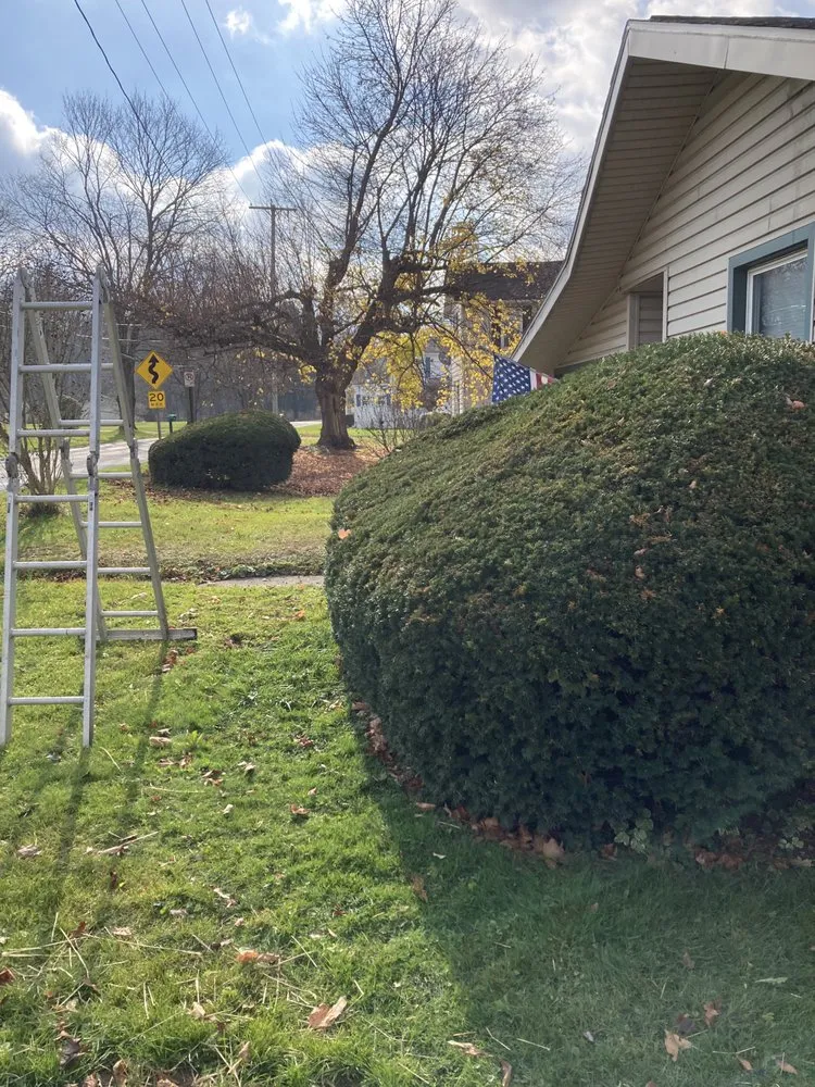 Custom lawn care service for residential properties across Greenville, PA - 72 Six Lawn