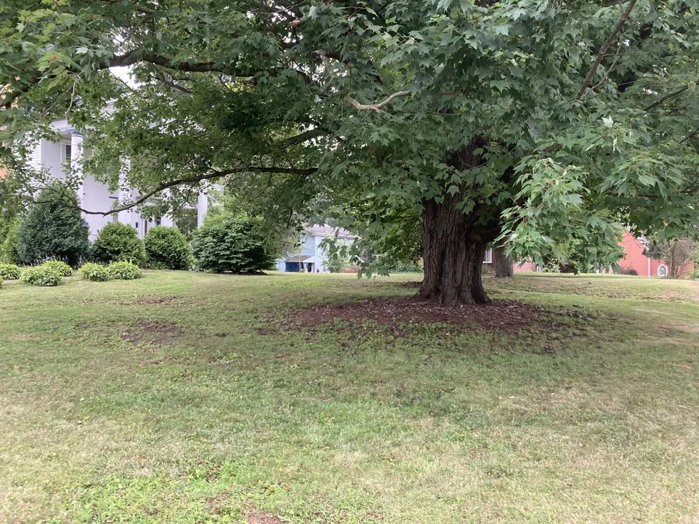 Reliable landscape design in Greenville, PA - 72 Six Lawn