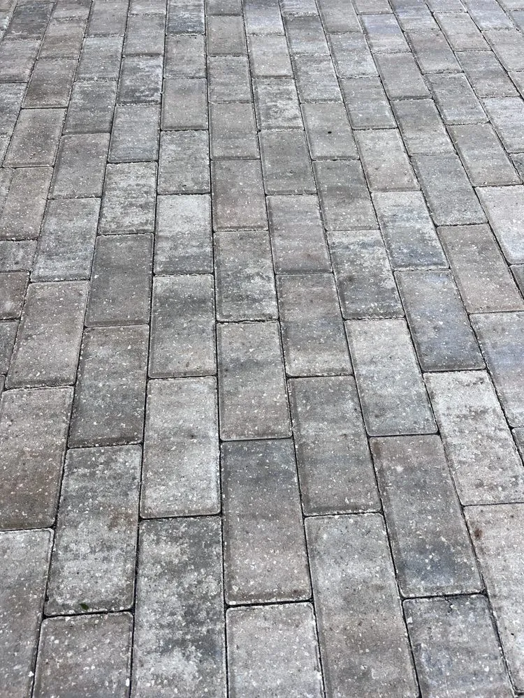 Local landscape design in Alachua, FL by 77 Landscaping