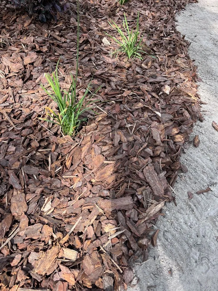 Expert yard cleanup service in Alachua, FL - 77 Landscaping