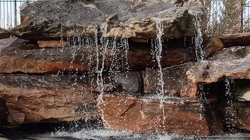 Local yard maintenance in Portales, NM - 7:7 Landscaping