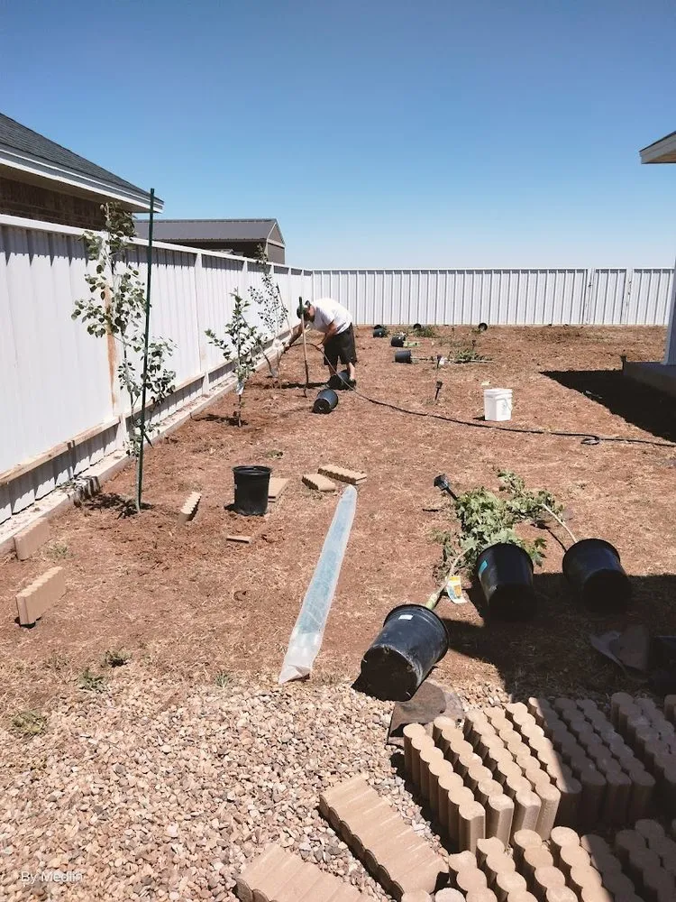 Custom lawn care service near you across Portales, NM - 7:7 Landscaping