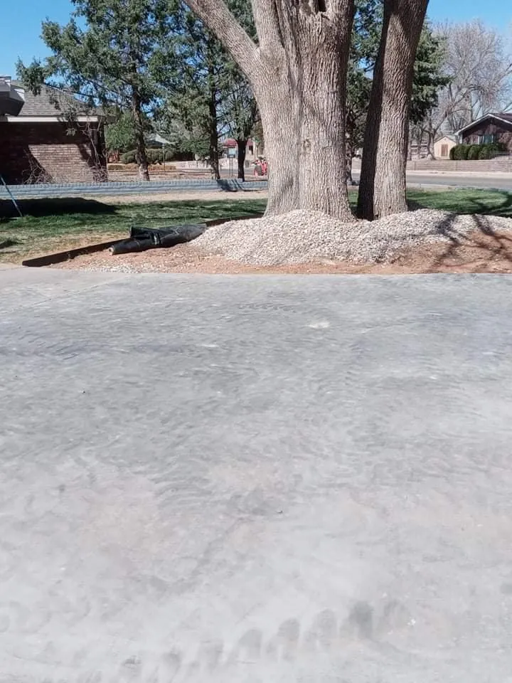 Top-rated residential landscaping for homes in Portales, NM by 7:7 Landscaping