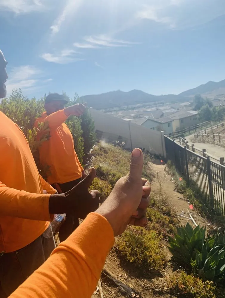 Expert yard maintenance for year-round maintenance in Escondido, CA by 777 Landscape