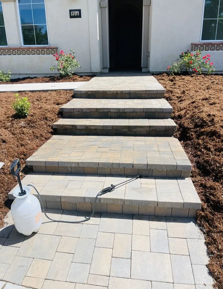 Custom yard maintenance with custom design in Escondido, CA by 777 Landscape