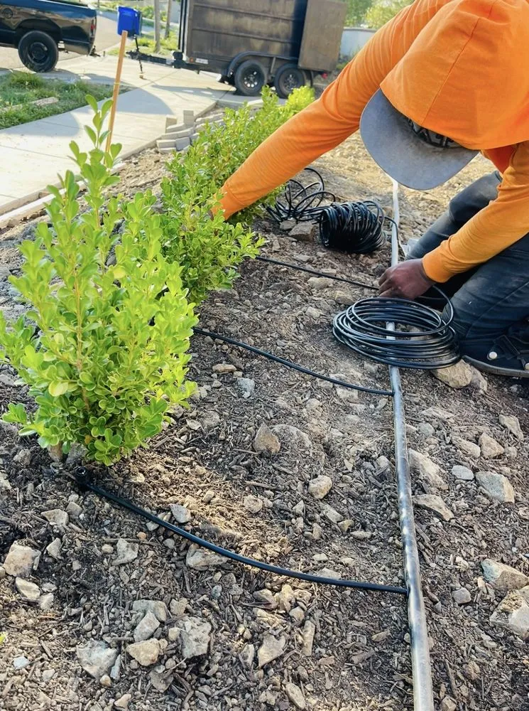 Top-rated residential landscaping for homes across Escondido, CA - 777 Landscape