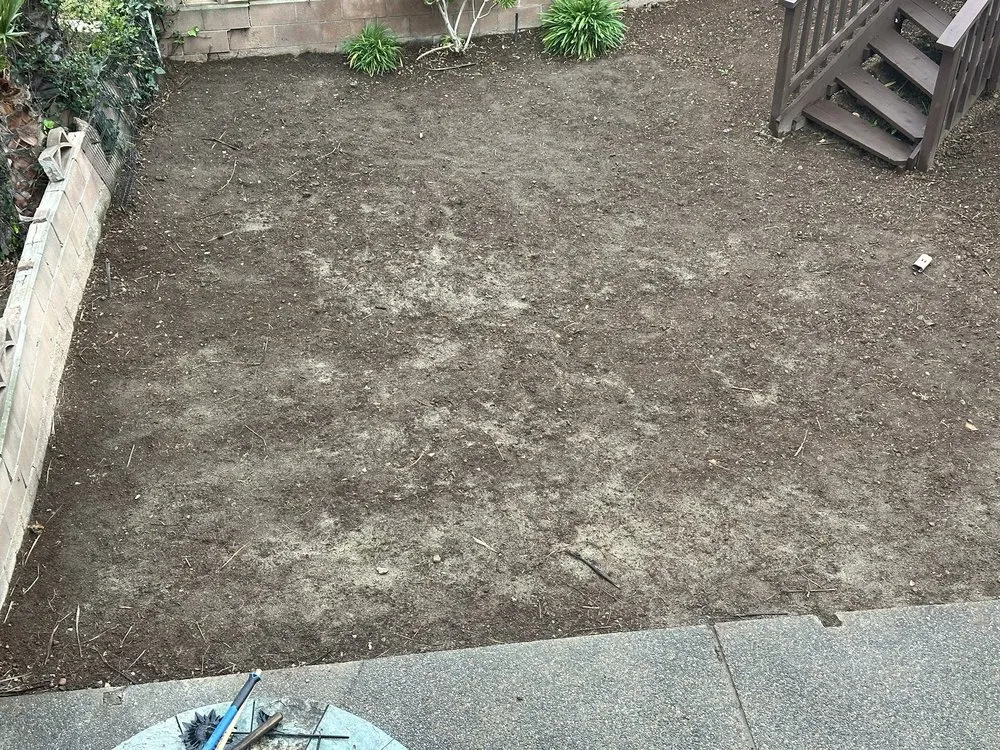 Top-rated lawn care service in Escondido, CA - 777 Landscape