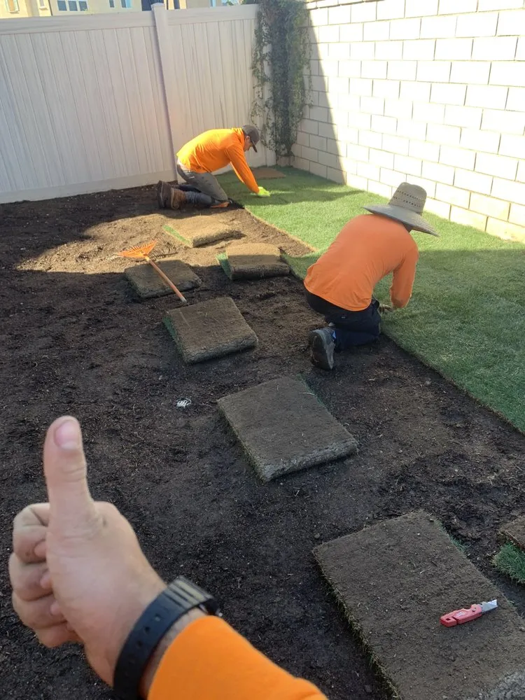 Reliable lawn care service experts serving Escondido, CA - 777 Landscape