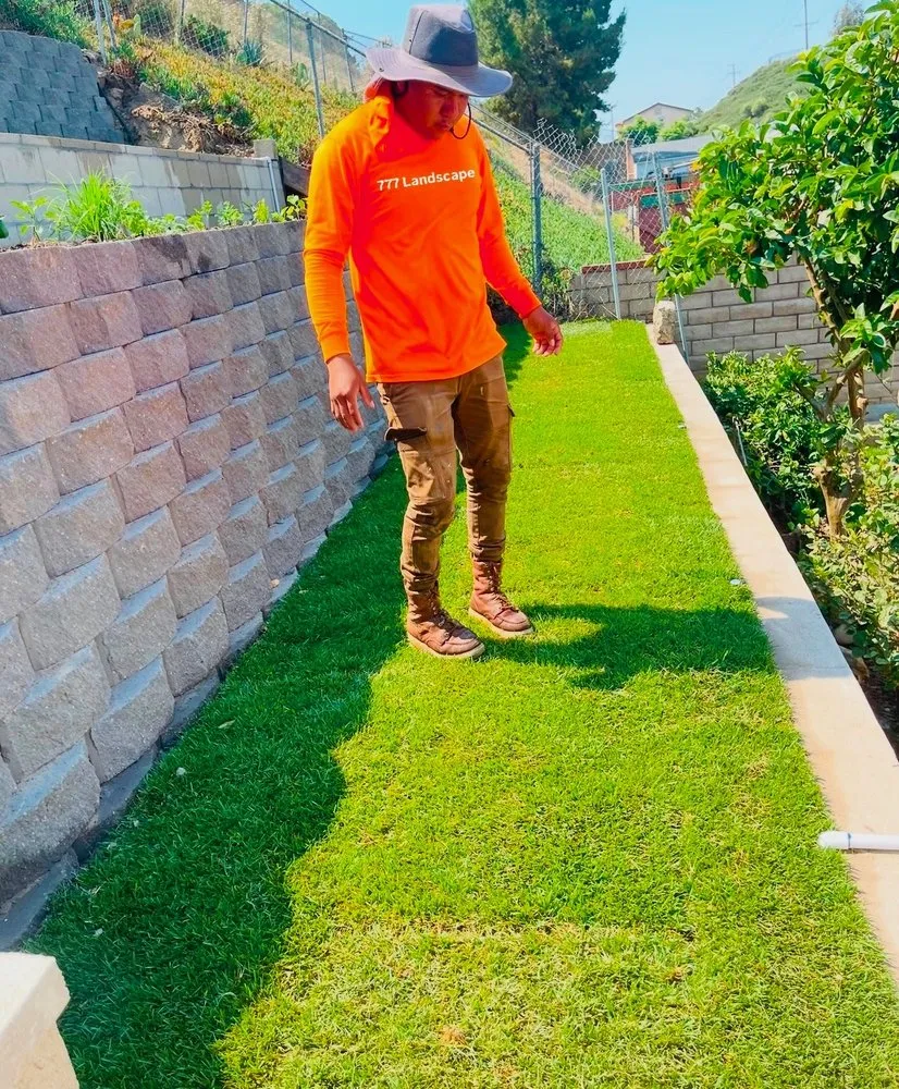 Professional landscape design experts serving Escondido, CA - 777 Landscape