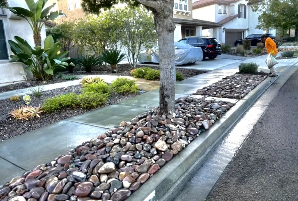 Professional yard cleanup service for residential properties in Escondido, CA by 777 Landscape