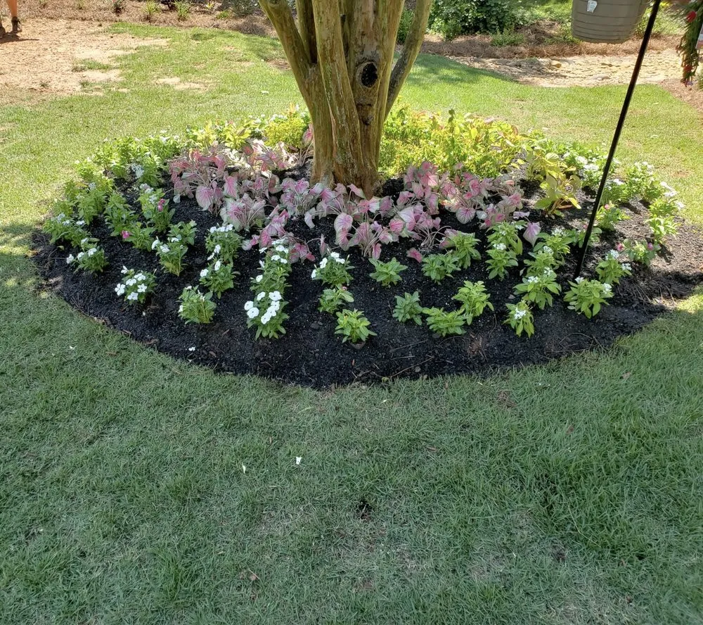 Top-rated lawn care service in Monroe, GA - 78 Landscaping