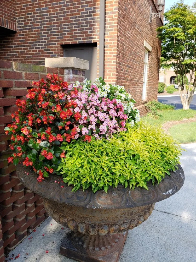 Affordable residential landscaping with custom design in Monroe, GA by 78 Landscaping