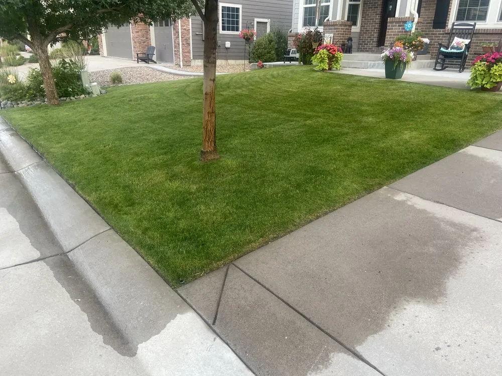 Expert outdoor landscaping for year-round maintenance in Littleton, CO by 7Heaven Landscapes