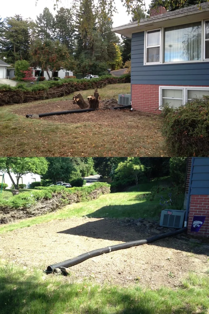 Local yard cleanup service near you across Pullman, WA - 7J Landscape Construction