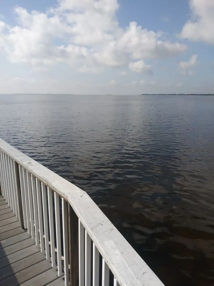 Trusted lawn care service for year-round maintenance in New Port Richey, FL by 7Raised