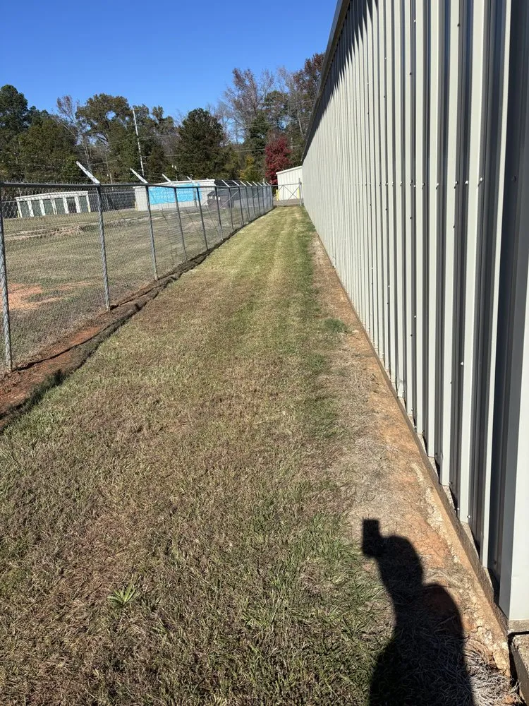 Trusted yard cleanup service experts serving Jefferson, TX - 8 - Point Land Services