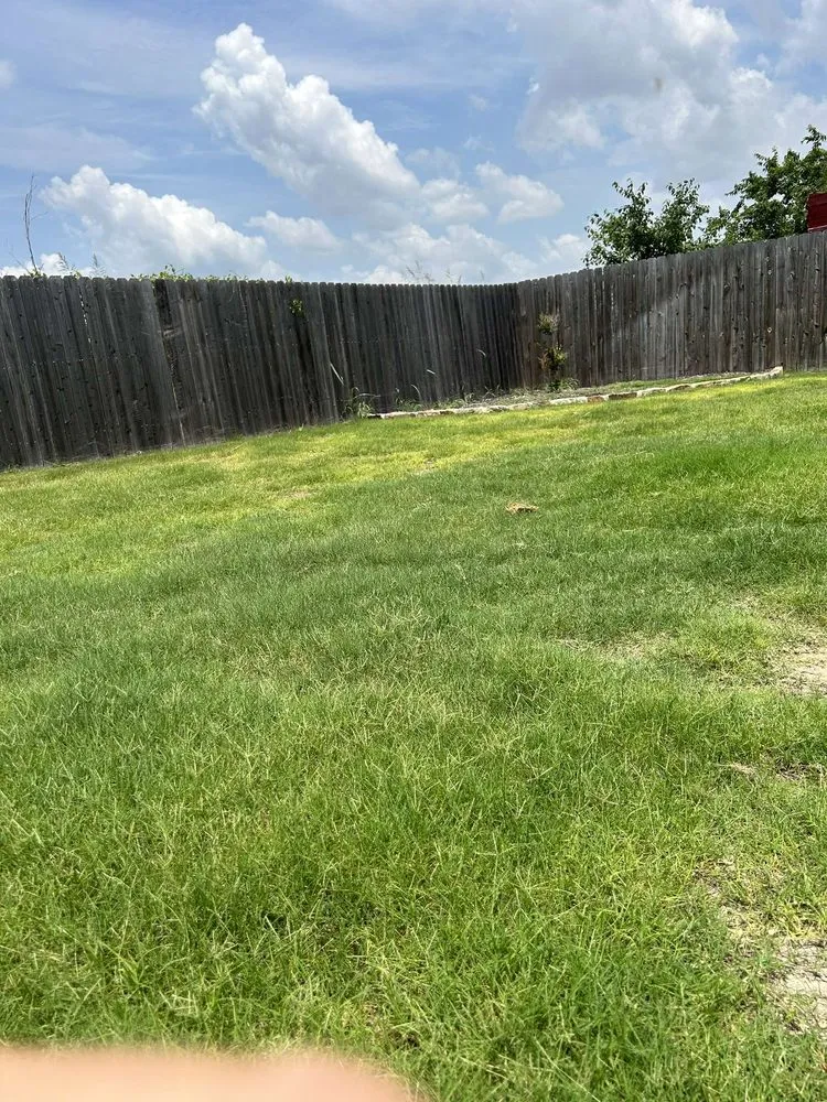 Top-rated landscape design for outdoor upgrades across Fort Worth, TX - 8 Second Yard Care