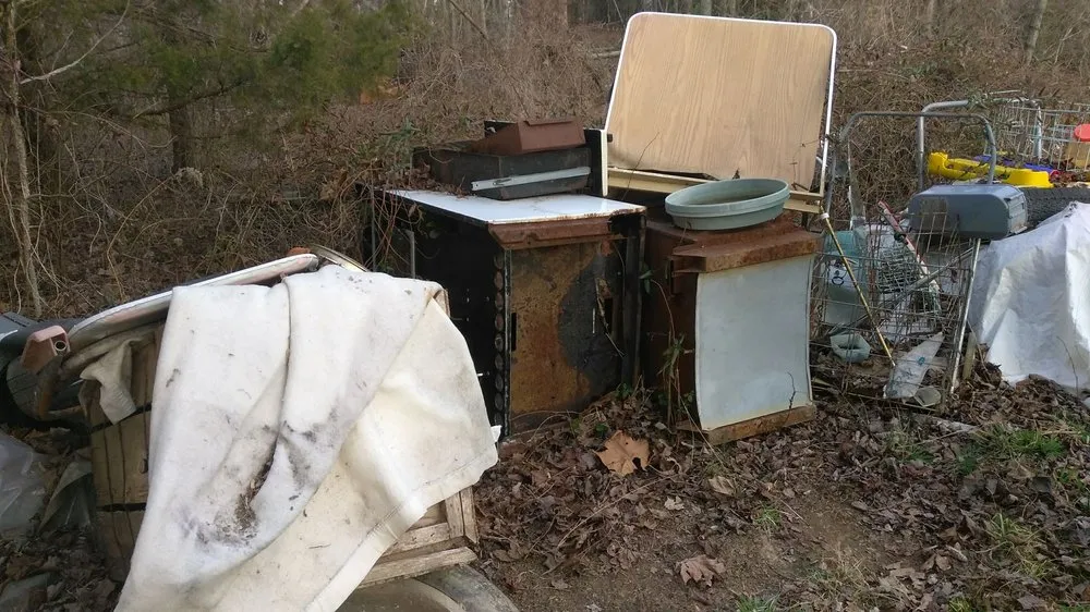 Expert lawn mowing service for outdoor upgrades across Spotsylvania, VA - 8 Speed Junk Removal